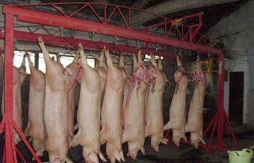 ANSVSA: Examinarea cărnii de porc în vederea depistării trichinelozei este obligatorie